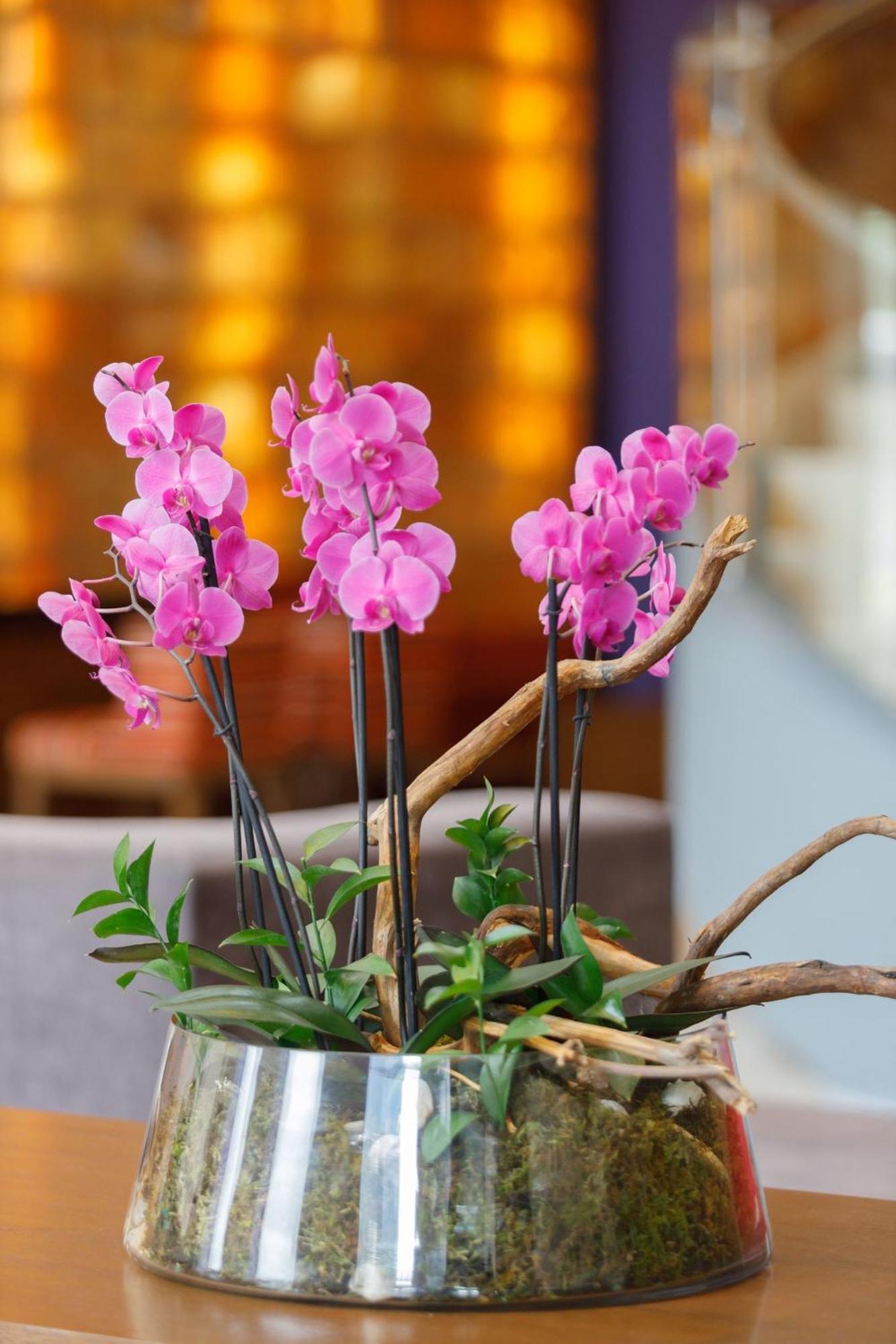 Camino Real Pedregal Mexico Hotel ภายนอก รูปภาพ Flower arrangement
